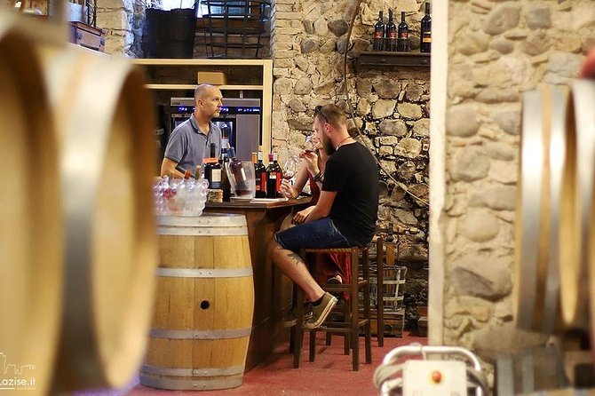 Wine Tasting in Historical Center of Lazise - Pricing and Booking