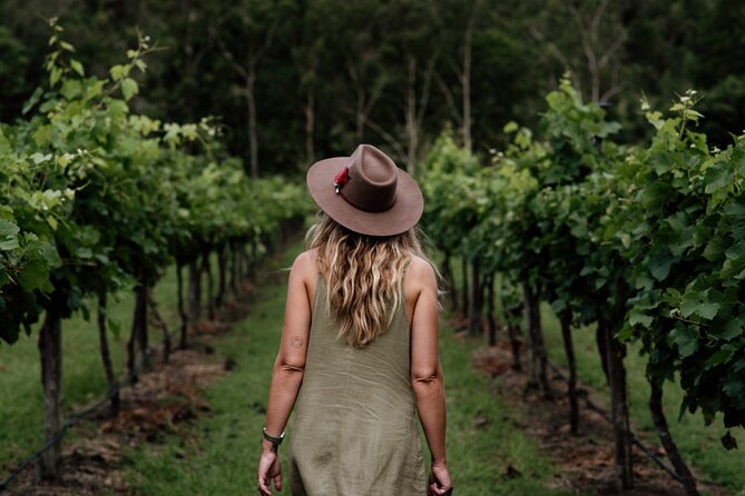 Wine Tasting Tour to Tamborine Mountain - Overview and Experience