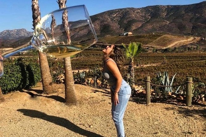 Wine Tasting Valle De Guadalupe & Casa Frida - Wine Tasting in Valle De Guadalupe