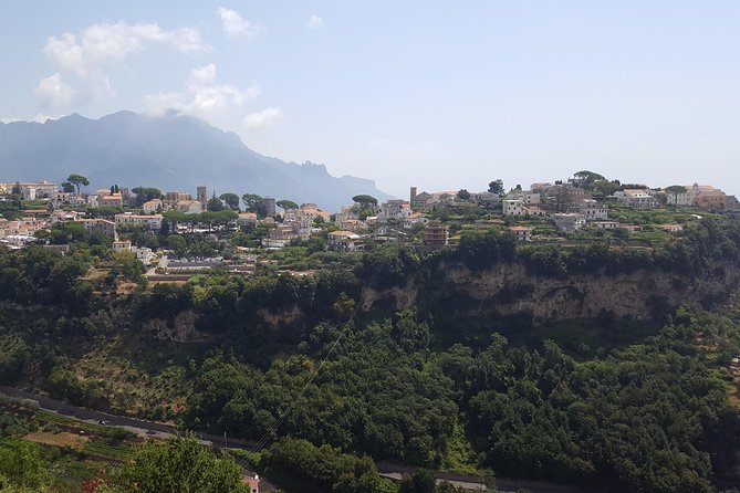 Wine Tour Experience for Family or Friends Group - Tour Details and Highlights