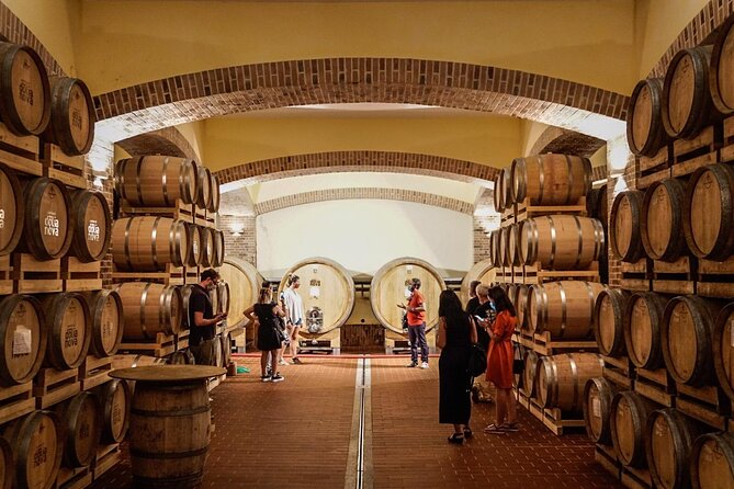 WINE TOUR With Sommelier in a WINEry Near Cagliari - Pricing and Booking