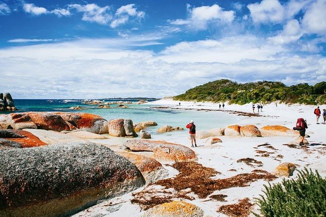 Wineglass Bay Day Tour Private Charter Service - Itinerary