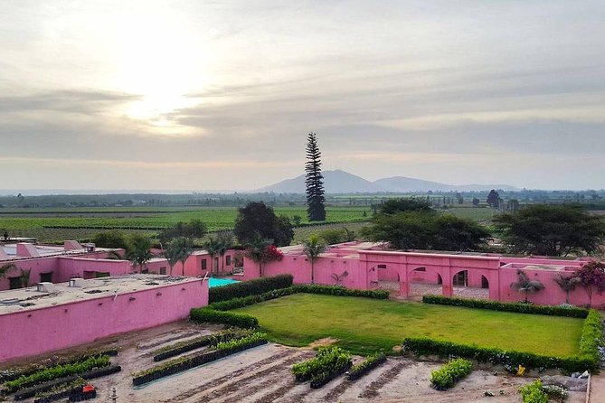 Winery and Pisco Distillery Tour - Artisan Winery Experience