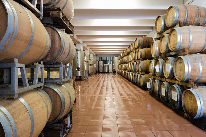 Winery Tour and Organic Wine Tasting in Trentino - Organic Wine Tasting Experience