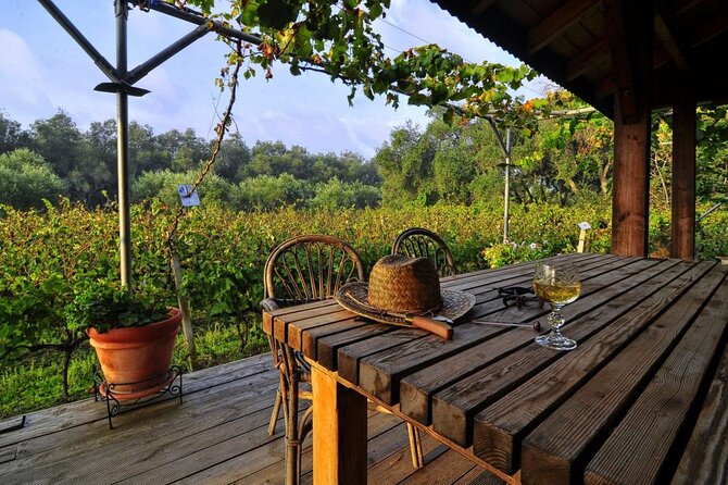 Winery Tour and Tasting in Corfu With the Sommelier - Expert Guidance From a Sommelier