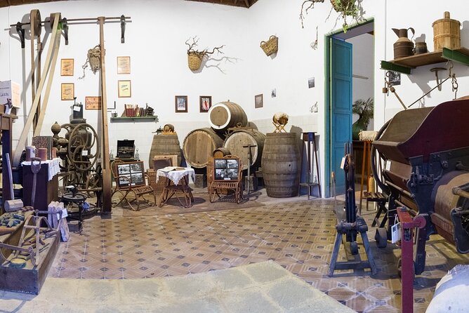 Winery Tour, Wine Museum, and Tasting in Gran Canaria - Tasting Experiences Available