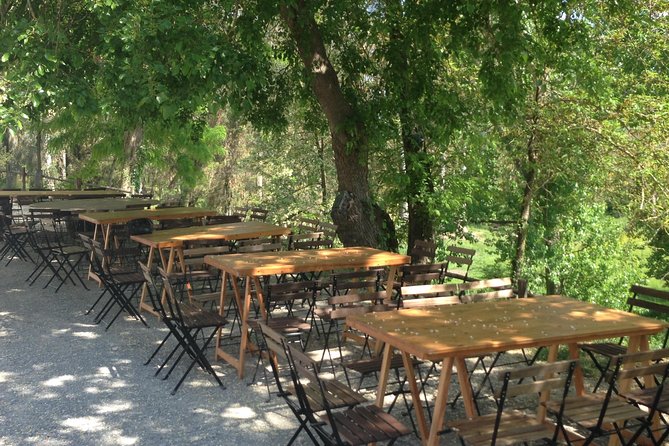Winery Tour With Wine and Olive Tasting at Theotoky Estate in Corfu - Overview of the Tour