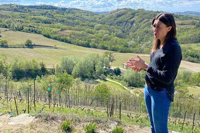 Winetour With Sommelier to Discover the Most Authentic Monferrato - The Charm of Monferrato Wines