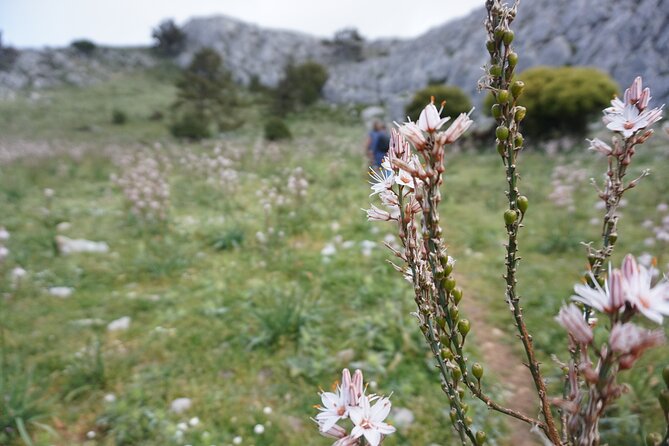 Winter Season Hiking at Mount Akramitis - Winter Photography Opportunities at Mount Akramitis