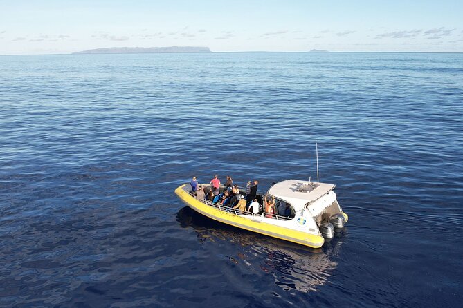 Winter Whale Watching Adventure in Kauai - Duration and Location