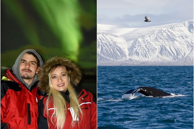 Winter Whale Watching & Northern Lights Cruise Combo From Reykjavik - Location and Accessibility