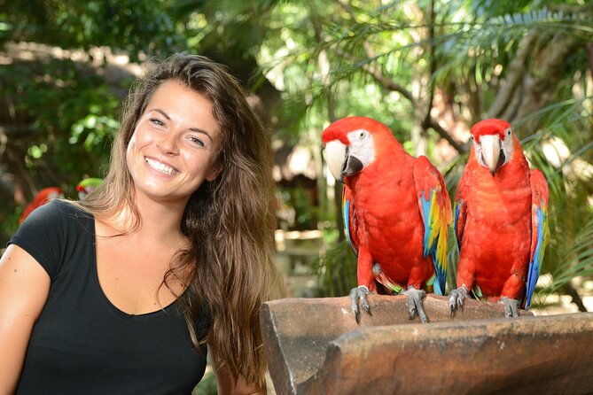Xcaret Park Plus Access With Transportation and Night Show - Meeting and Pickup