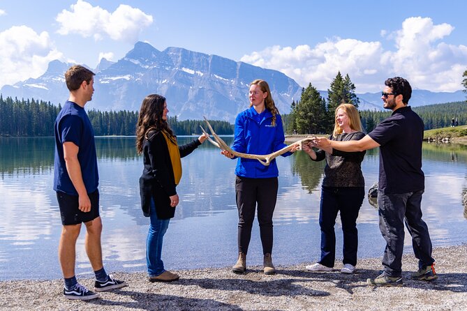Year Round Tour: Banff and Its Wildlife - Tour Overview and Inclusions