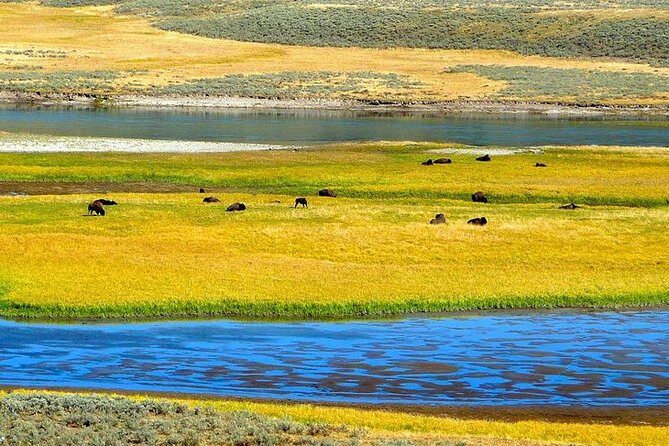 Yellowstone Lower Loop VIP Full-Day Private Tour With Lunch - End Point and Cancellation Policy