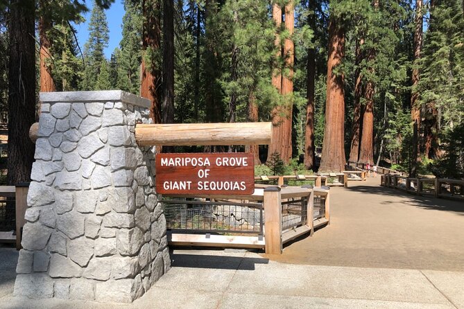 Yosemite Highlights Small Group Tour - Tour Details and Inclusions
