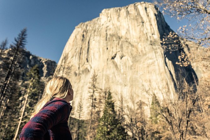 Yosemite National Park and Giant Sequoias Tour From San Jose - Overview of the Tour
