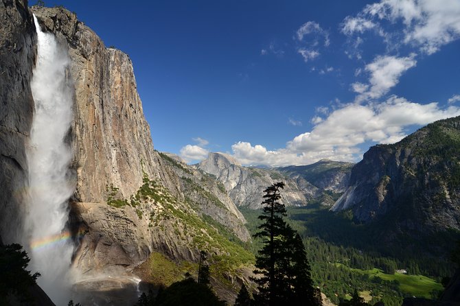 Yosemite National Park - Full Day Tour From San Francisco - Positive Feedback on Guides and Drivers