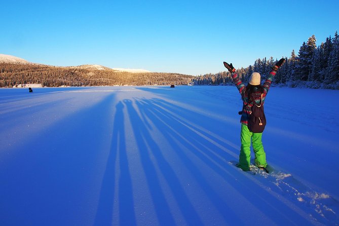 Yukon Snowshoeing Adventure Half Day - Overview of Yukon Snowshoeing Adventure