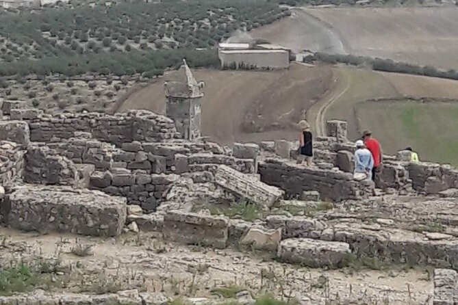 Zaghouan, Thuburbo Majus and Dougga Private Self-Guided Tour From Monastir - Tour Pricing and Savings
