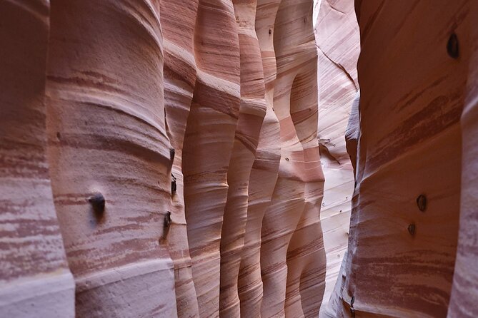 Zebra Slot Canyon Hiking Tour in Escalante - Activity Overview