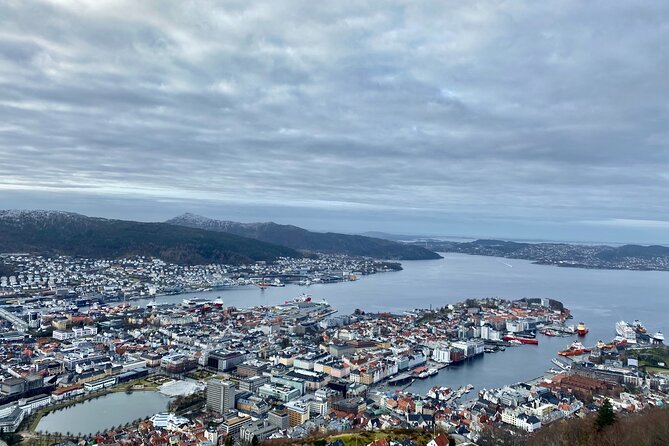 Zero Emission Bergen City Tour By Car - Tour Inclusions
