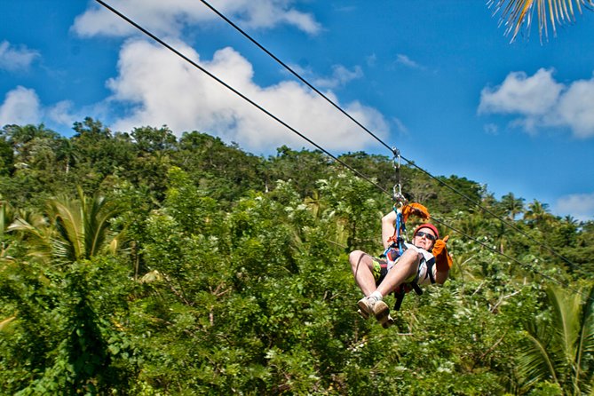 Zipline Adventure in El Limón - Overview and Logistics