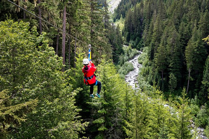 Zipline Adventure in Whistler - Price and Booking Information