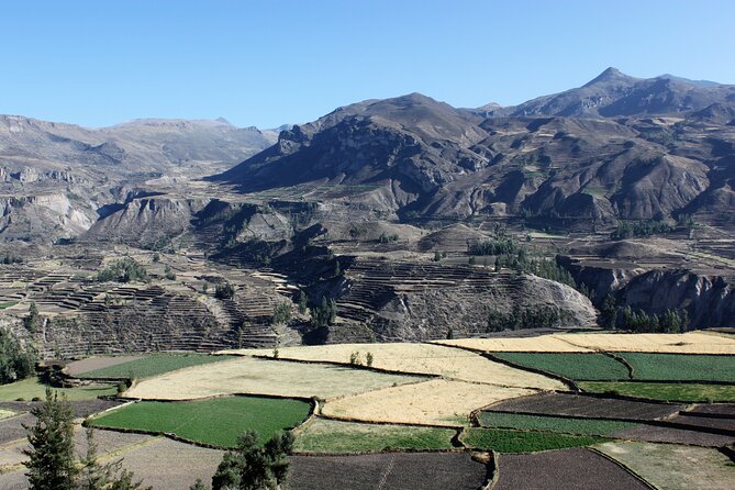 2 Day Colca Canyon, Vicuna Reserve and Condors From Arequipa - Tour Details