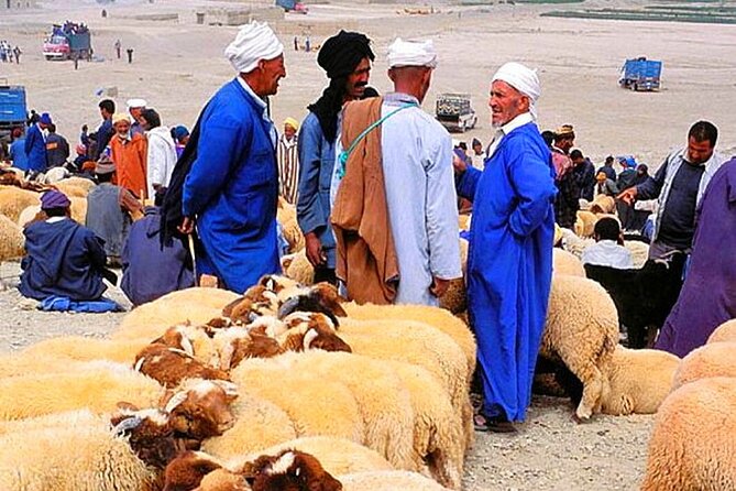 2 Day Desert Tour From Marrakech Through the Atlas Mountains & Camel Ride