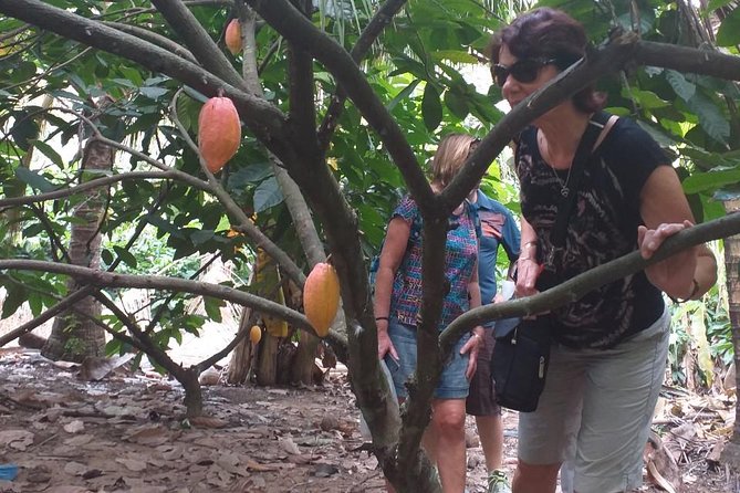2-Day Mekong Delta - Floating Market From HCM City