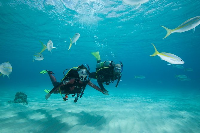 2 Day PADI Scuba Diver Course in Puerto Rico, Gran Canaria - Inclusions