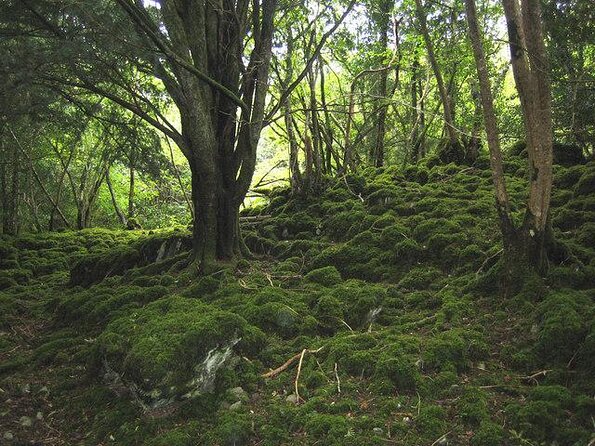 2 Best 2 Day Tours In Killarney