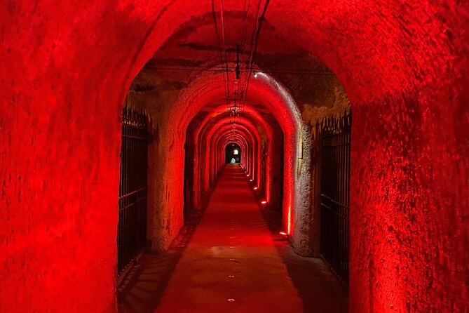 2-Day Private Tour to Champagne & Chablis: Moët Et Chandon Etc, 15 Wines Tasting