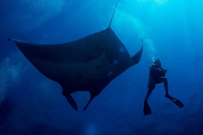 2-Day Similans Scuba Diving From Phuket - Good To Know