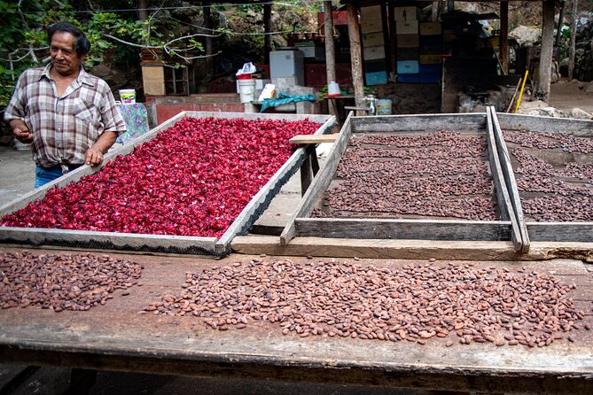 2 Days/1 Night Tour: Be Immersed in a Cocoa Farm in the Jungle of Cusco