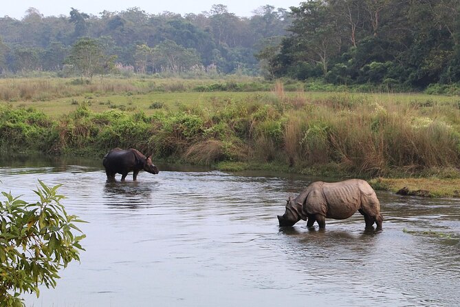 2 Days and 1 Night Chitwan Safari Tour