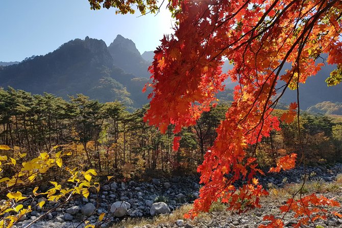 2-Days: Real Hiking to Mt Seorak Summit(1,708m) With Professional Mountaineer - Good To Know
