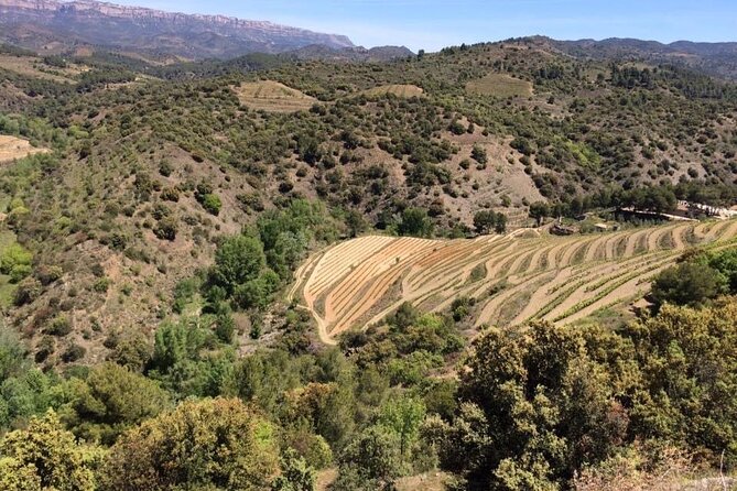 2 Days Wine Tasting Private Tour