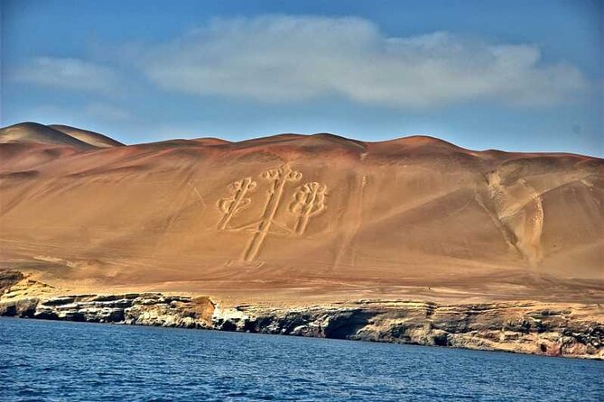 2-Hour Ballestas Islands Tour by Modern Boat