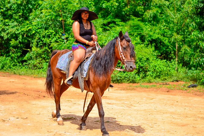 2-Hour Beach Horseback Riding in Punta Cana Gift SIM Card - What Is Beach Horseback Riding?