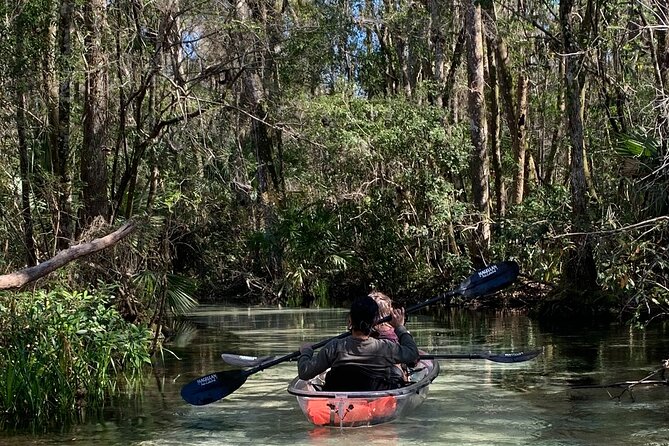 2-Hour Glass Bottom Guided Kayak Eco Tour in Rainbow Springs (Small-Group) - Good To Know