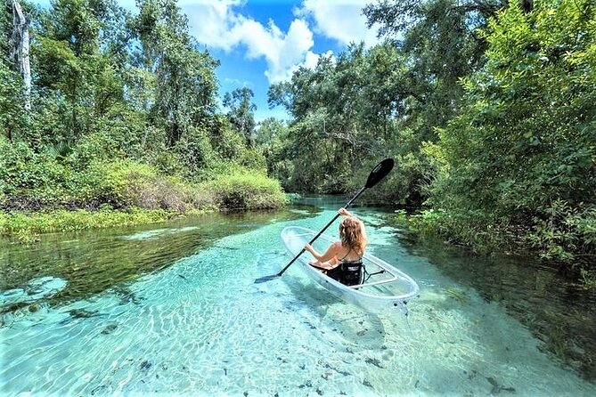 2-Hour Glass Bottom Guided Kayak Eco Tour in Rock Springs (Small-Group) - Good To Know