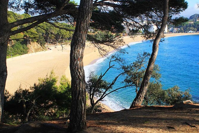 2-hour Guided Kayak Tour on the Costa Brava - Good To Know