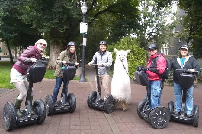 2 Hour Guided Segway Tour - Good To Know