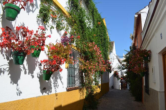 2-Hour Historical Walking Tour of Estepona
