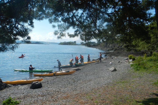 2- Hour Kayak Trip on the Oslo Fjord - Good To Know