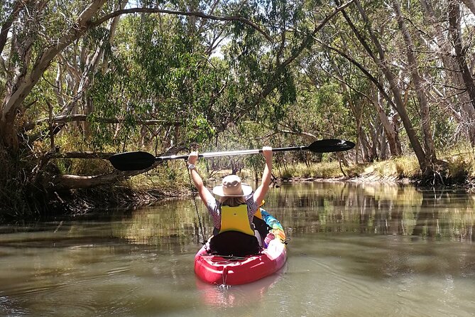 2-Hour Kayaking Experience in Barossa Valley - Good To Know