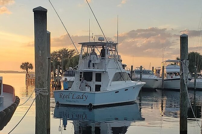2 Hour Private Dolphin Sightseeing Tour in Panama City Beach - Good To Know