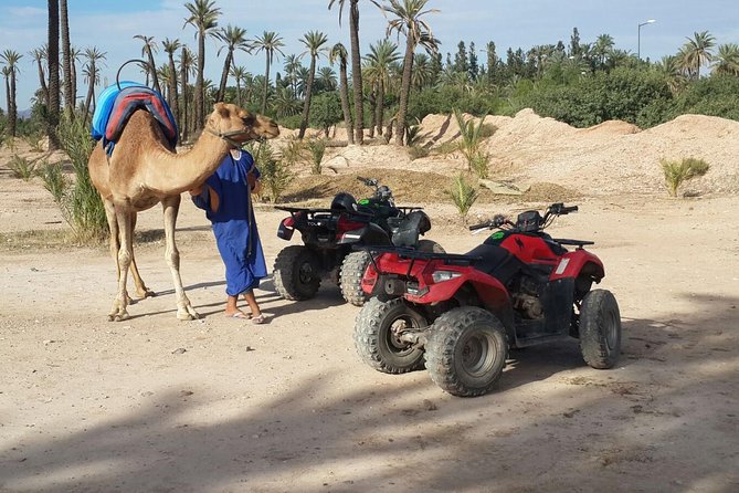 2-Hour Quad Bike & Camel Ride in Marrakech Palmeraie - Tour Highlights