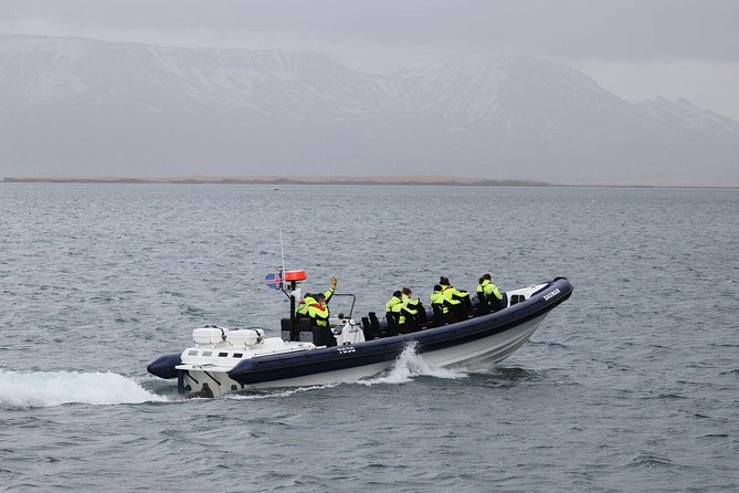 2-Hour RIB Boat Whale Watching Tour From Reykjavik